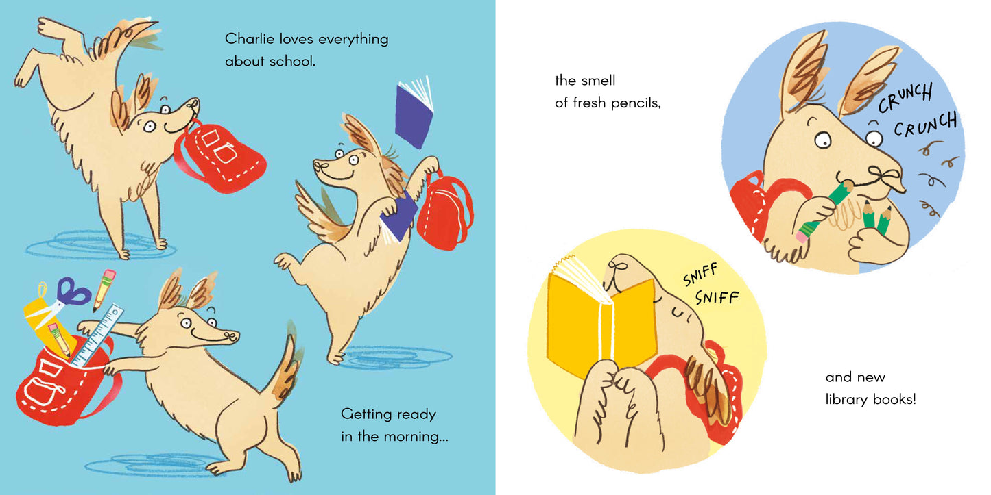A New School for Charlie (Hardcover Edition)