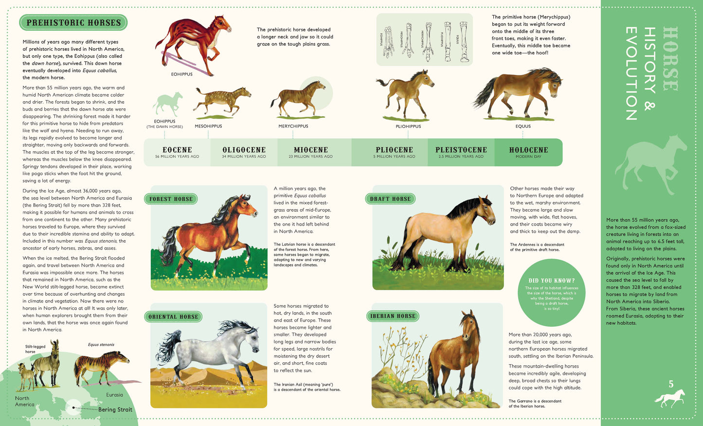 Around the world on 80 Horses (Softcover Edition)