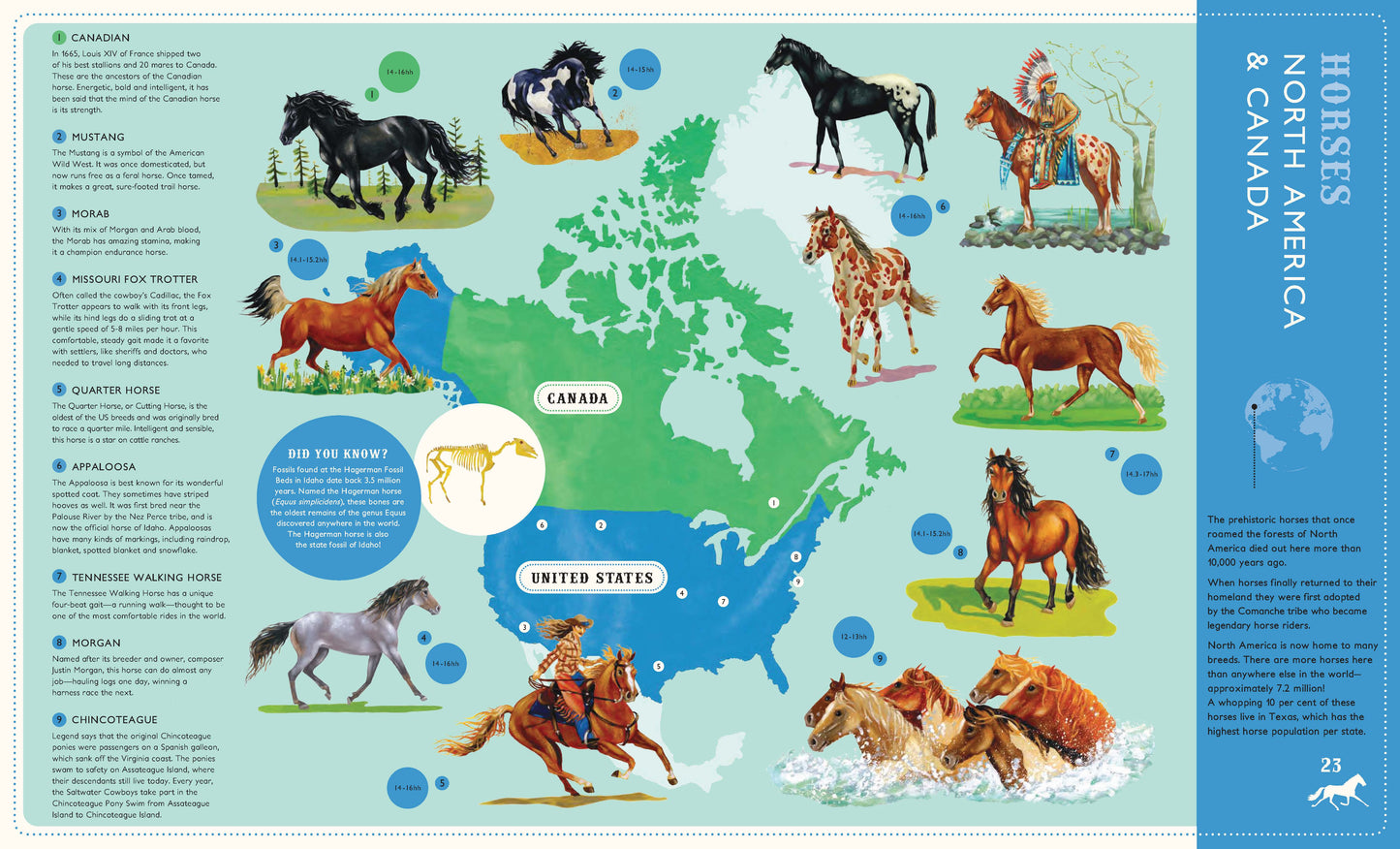 Around the world on 80 Horses (Softcover Edition)