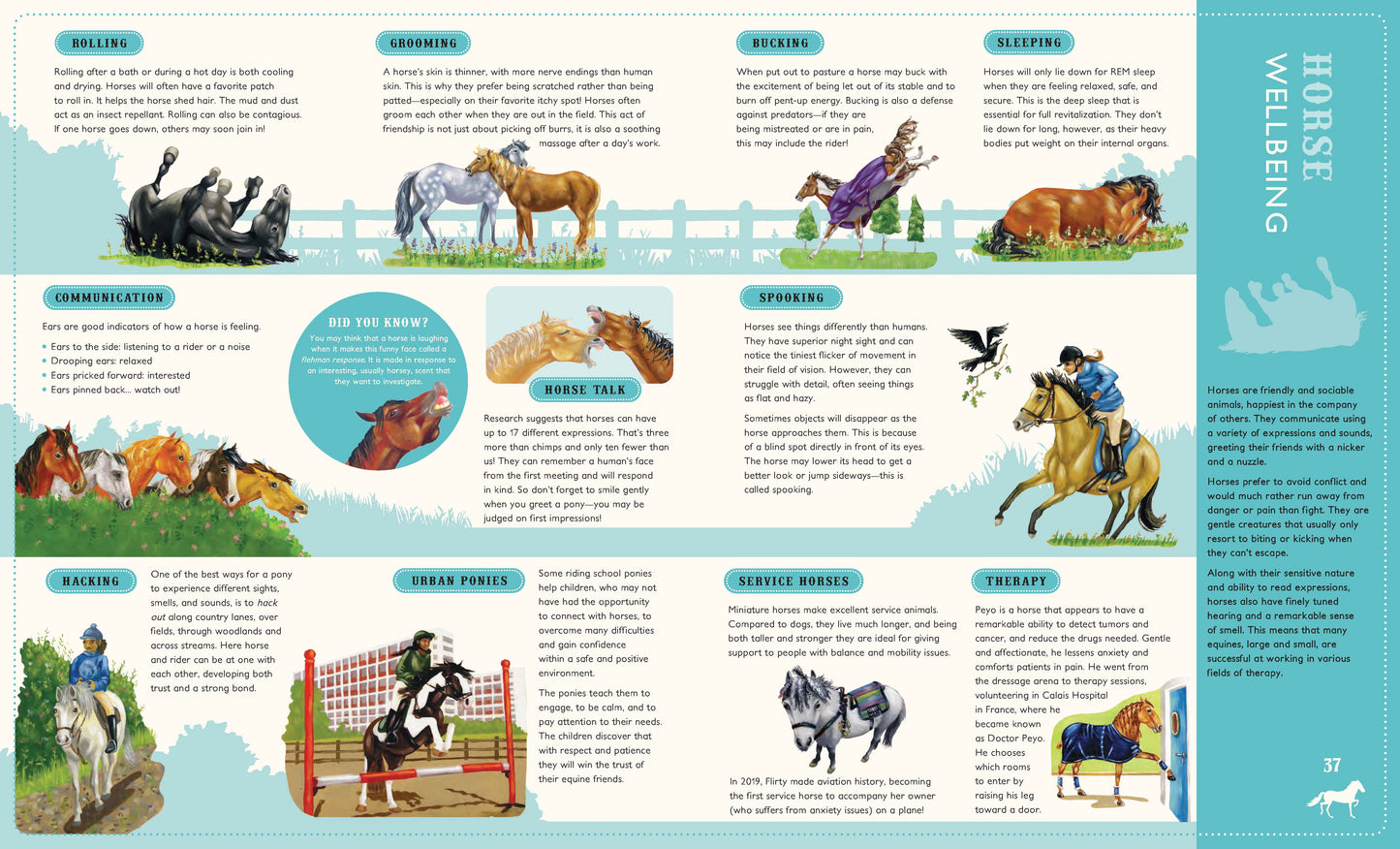 Around the world on 80 Horses (Softcover Edition)