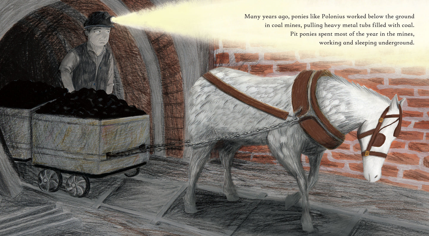 Polonius the Pit Pony (Softcover Edition)