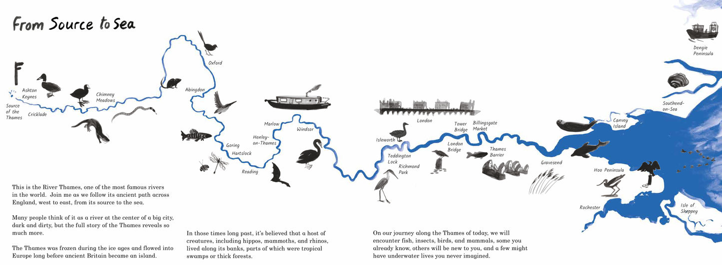 Life on the Thames (US Edition)
