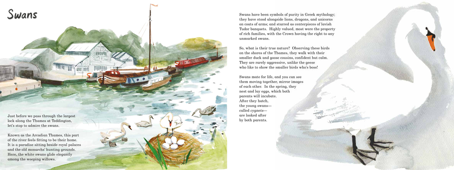 Life on the Thames (US Edition)