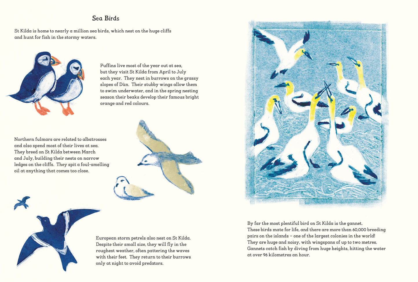 Child of St Kilda (US Edition)