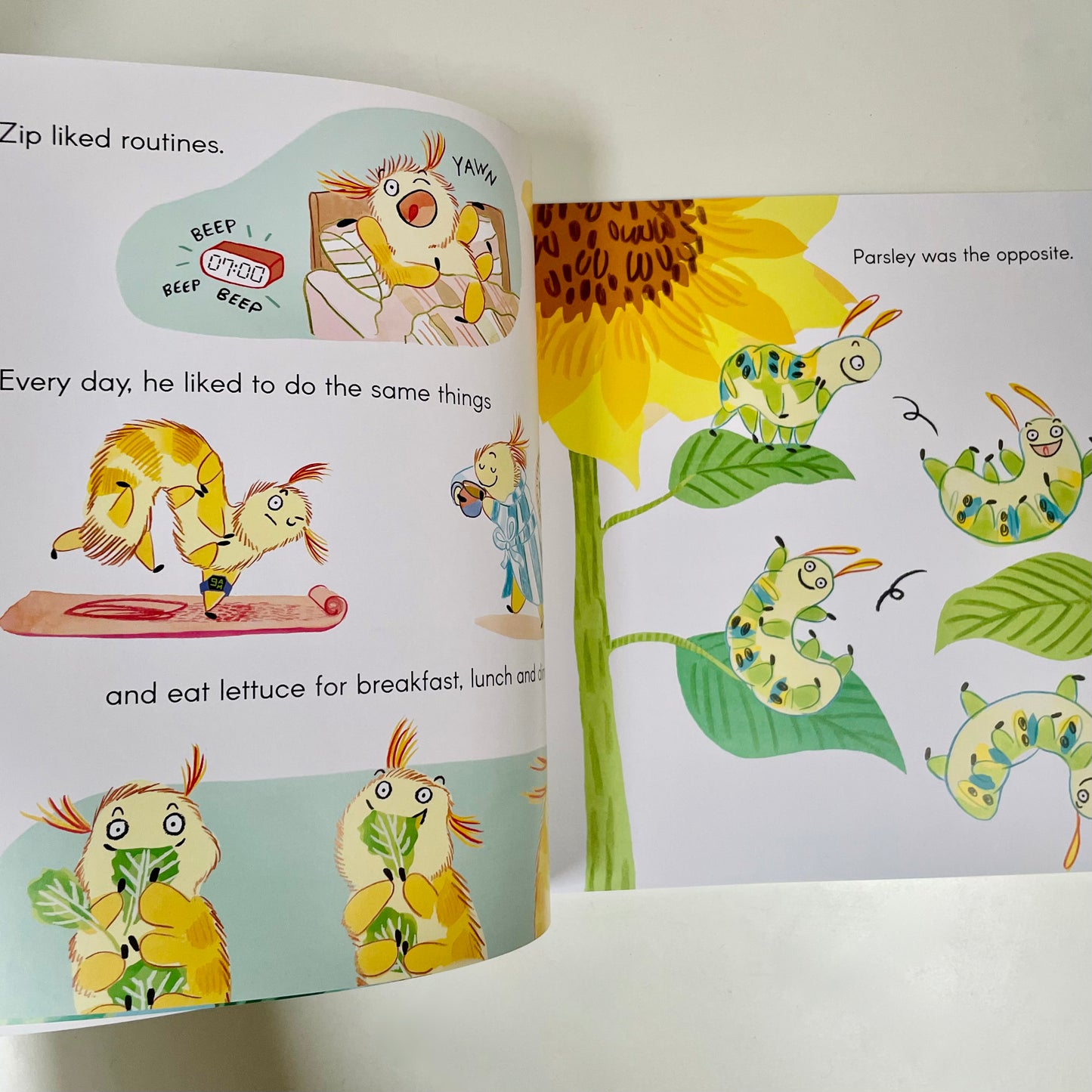 For the Love of Lettuce (Softcover Edition)