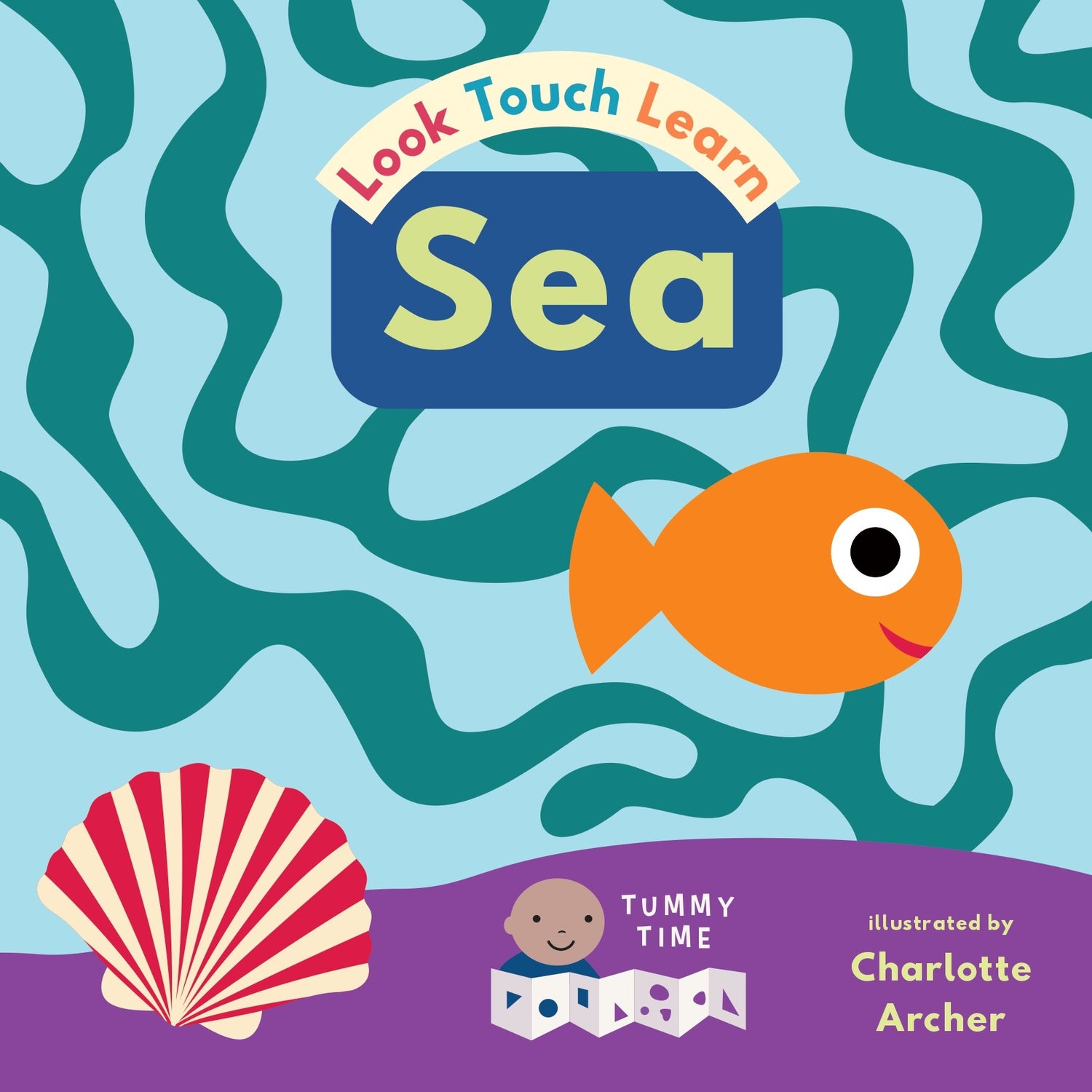 Look, Touch, Learn! (Mini Tummy Time Books)