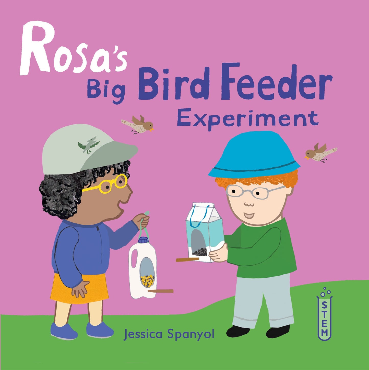 Rosa's Big Bird Feeder Experiment